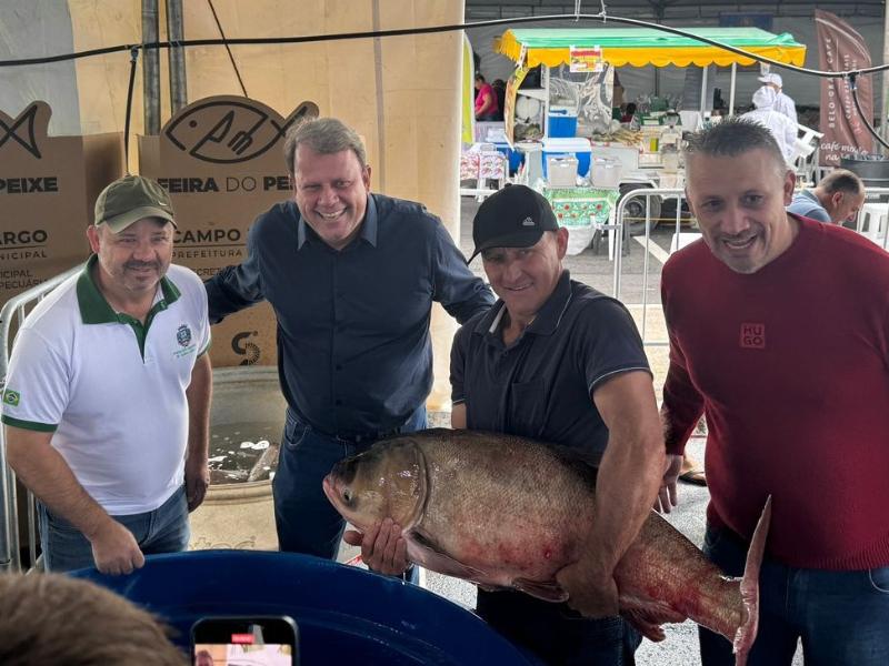 Carpa de 20 kg e outros destaques na Feira do Peixe que acontece até quinta-feira (28)