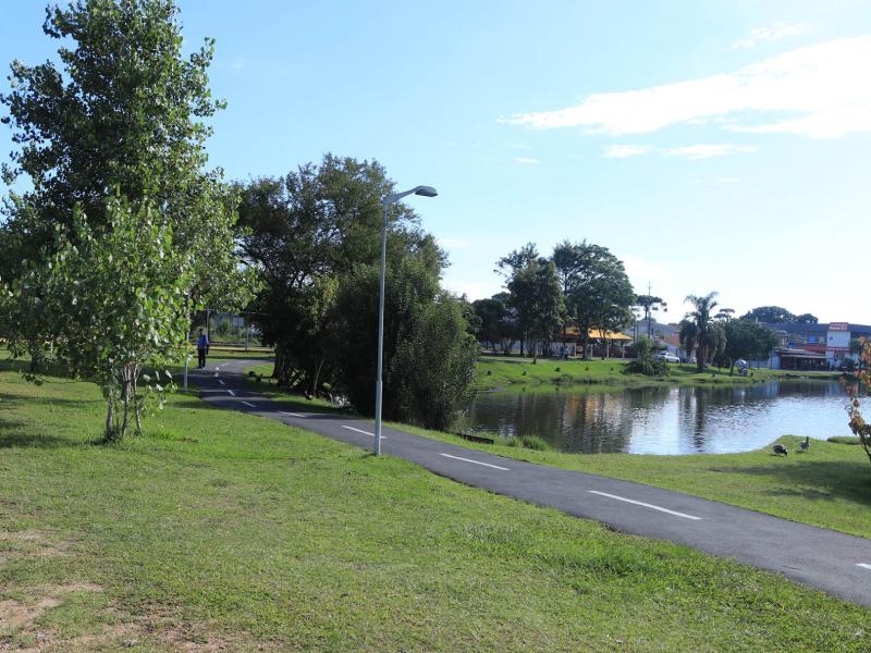 Município busca esclarecer mortes de patos no Parque da Lagoa 