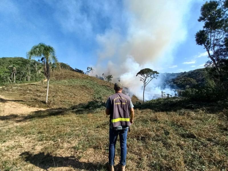 Denúncias ambientais em Campo Largo agora podem ser feitas on-line