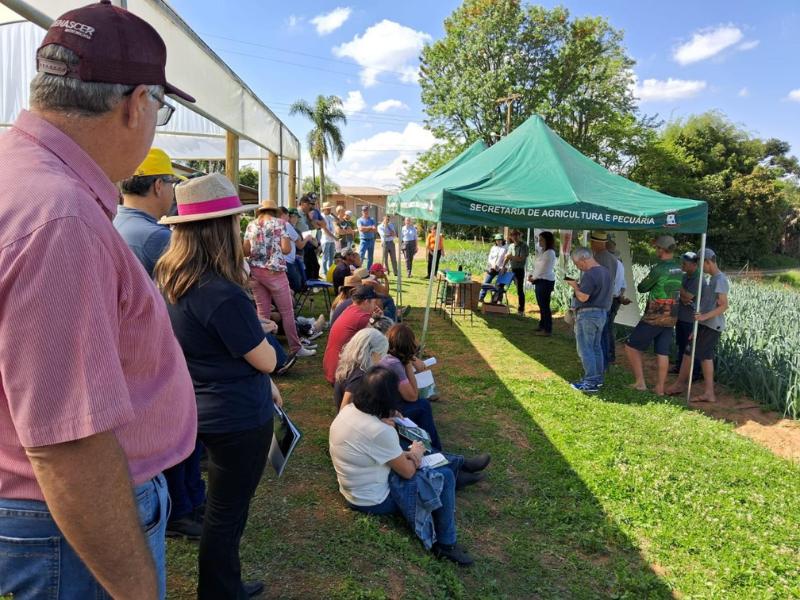 Campo Largo recebeu encontro de produtores de morango e frutas vermelhas