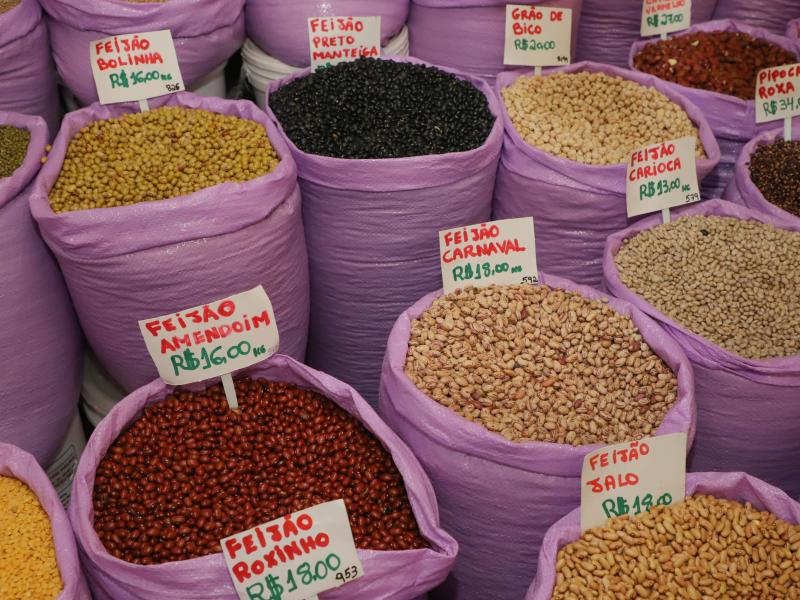 Paraná confirma novo recorde e liderança nacional na produção de feijão: 865 mil toneladas