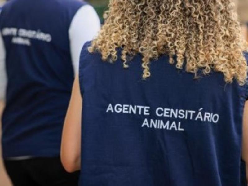 Pesquisa sobre estimativa populacional de cães e gatos será realizada a partir de janeiro de 2026