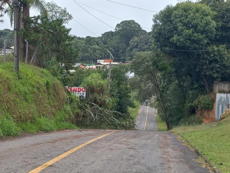 Forte temporal registra rajadas de vento de 65 km/h e 15 mil unidades consumidoras ficam sem luz