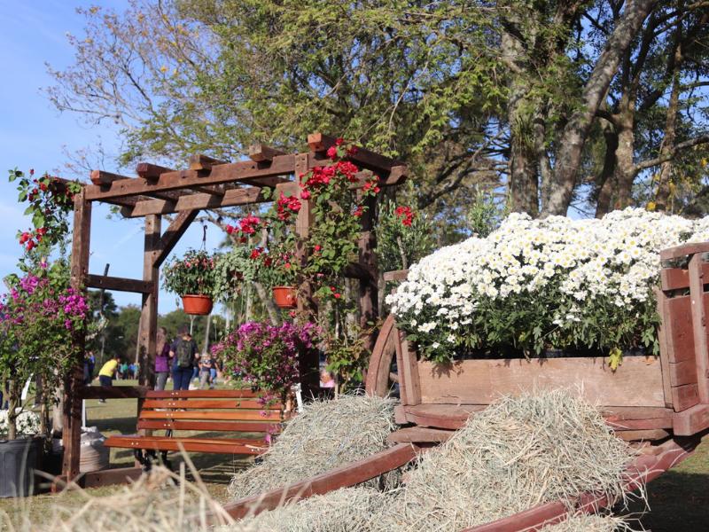 Festa da Primavera 2025 reúne mais de 20 mil pessoas no Parque Newton Puppi