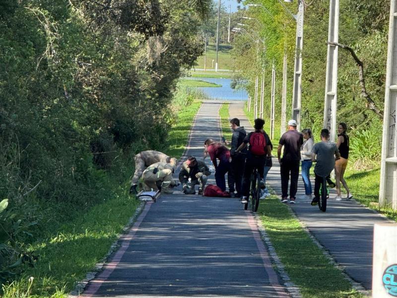Bombeiros resgatam ave presa em linha de pipa no Parque Newton Puppi em Campo Largo