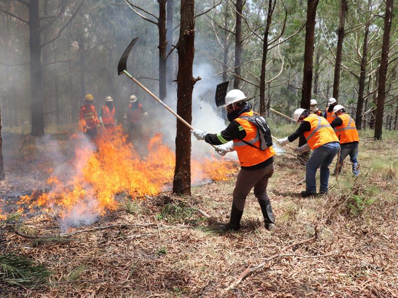 Voluntários podem se inscrever para curso de brigadista florestal