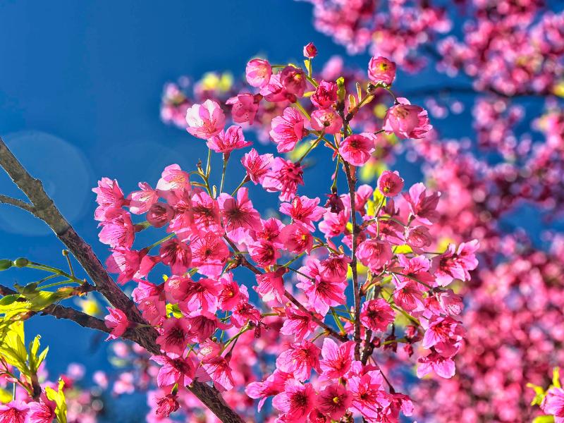 Primavera começa nesta segunda com chuvas e estação será marcada pelas altas temperaturas e tempestades