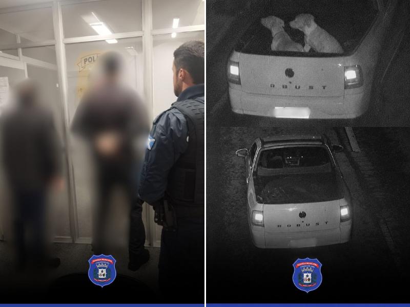 Dois homens são presos por abandono e maus-tratos a cães em Campo Largo