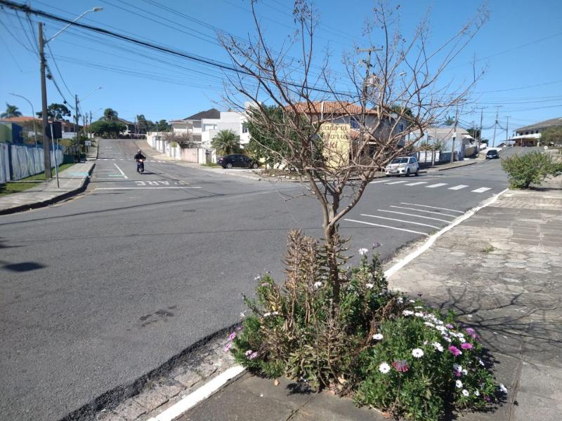 Campo Largo altera sentido em duas vias para reforçar segurança no entorno de escolas
