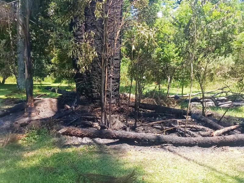 Princípio de incêndio é registrado no Parque Newton Puppi