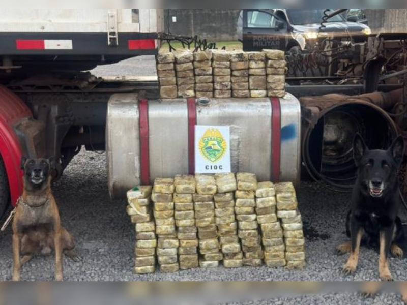 Apreensão de mais de 130 kg de cocaína na BR-277 causa prejuízo milionário ao crime organizado