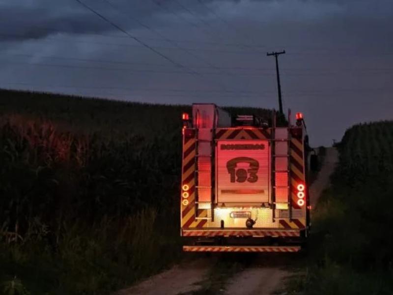 Idoso fica em estado grave após ataque de abelhas em Campo Largo e é socorrido de helicóptero
