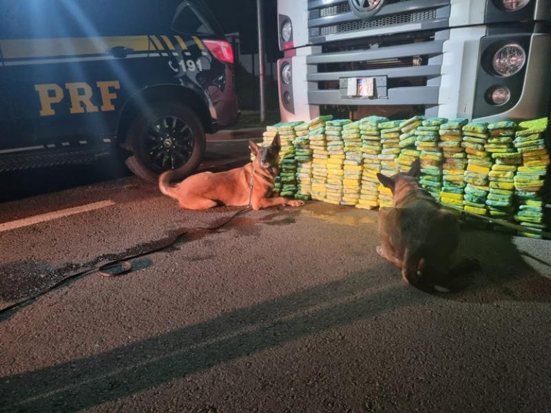 PRF apreende quase meia tonelada de drogas com apoio de cães farejadores em Campo Largo